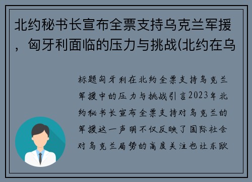 北约秘书长宣布全票支持乌克兰军援，匈牙利面临的压力与挑战(北约在乌克兰驻军)