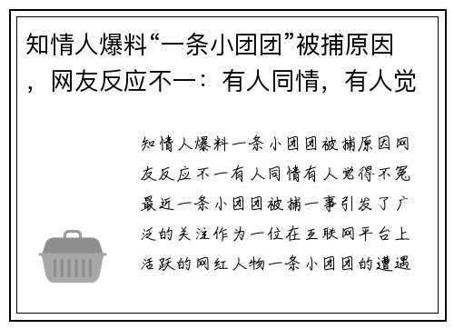 知情人爆料“一条小团团”被捕原因，网友反应不一：有人同情，有人觉得“不冤”